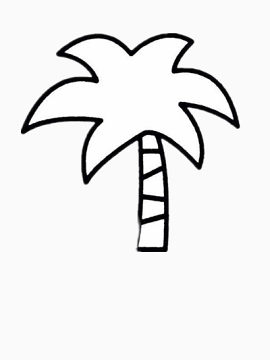 迷你的椰子树