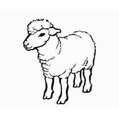 黑白卡通线条绵羊