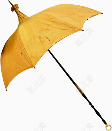 黄尖头伞