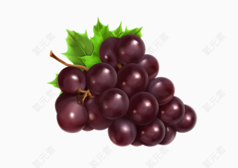 葡萄提子紫色水果