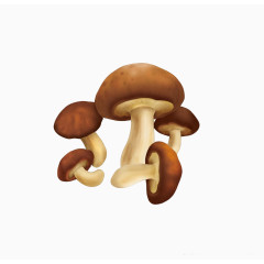 蘑菇免抠素材