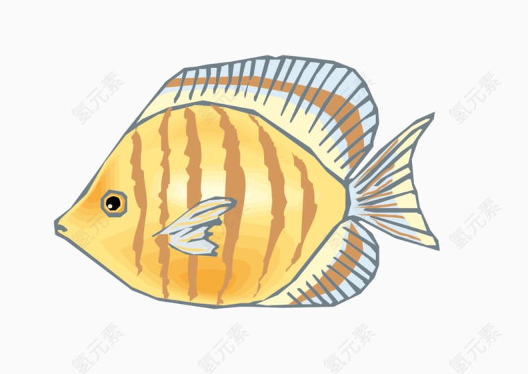 矢量金黄观赏鱼素材