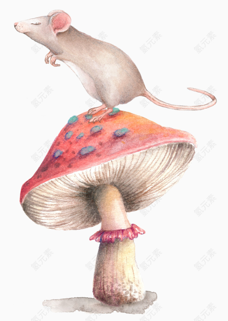 老鼠站在蘑菇上