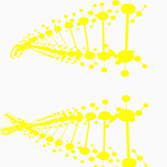 黄色基因链