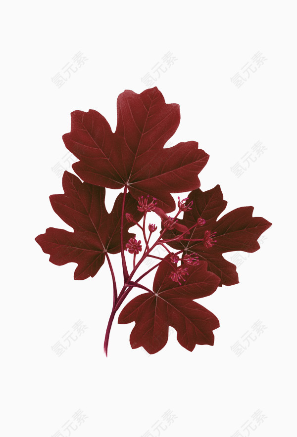 红色简约树叶装饰图案