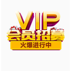 VIP会员招募