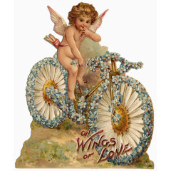 单车与天使