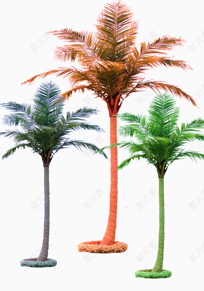 彩色景观椰子树
