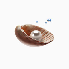 贝壳珍珠免抠素材