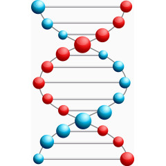 矢量手绘DNA排列