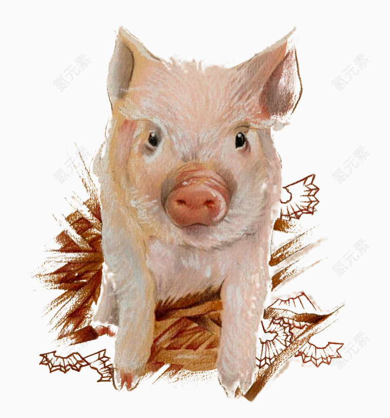 彩绘猪图案