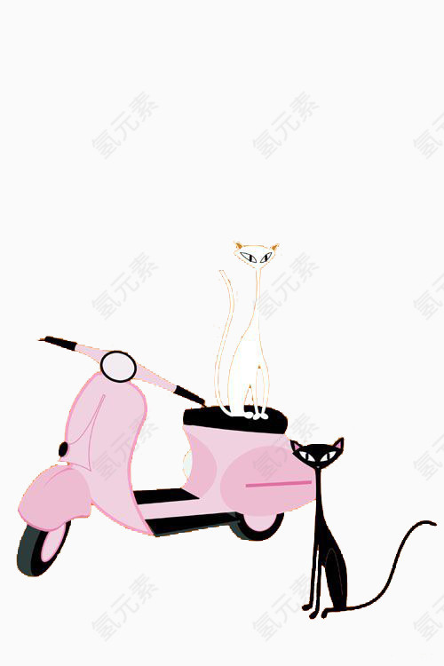 摩托车与猫