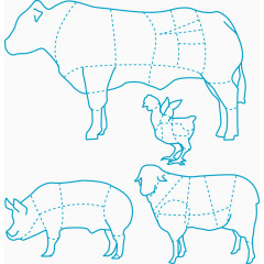 猪牛羊鸡食肉分布图