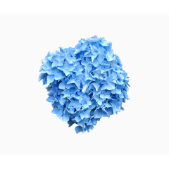 蓝色团簇绣球花装饰配饰图案