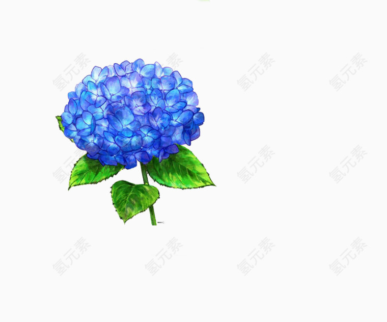 小清新蓝色花朵免抠素材
