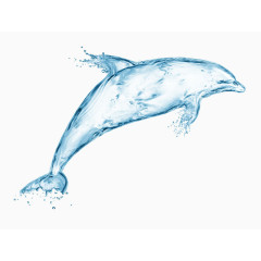 水海豚