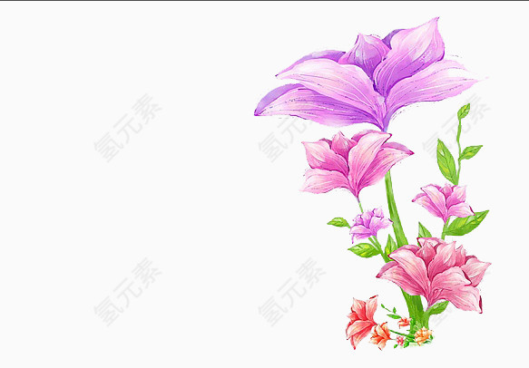 水彩手绘画花朵素材