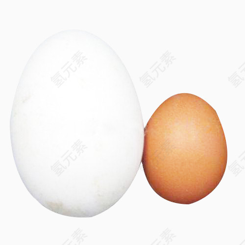 鸡蛋粘着鹅蛋图片素材