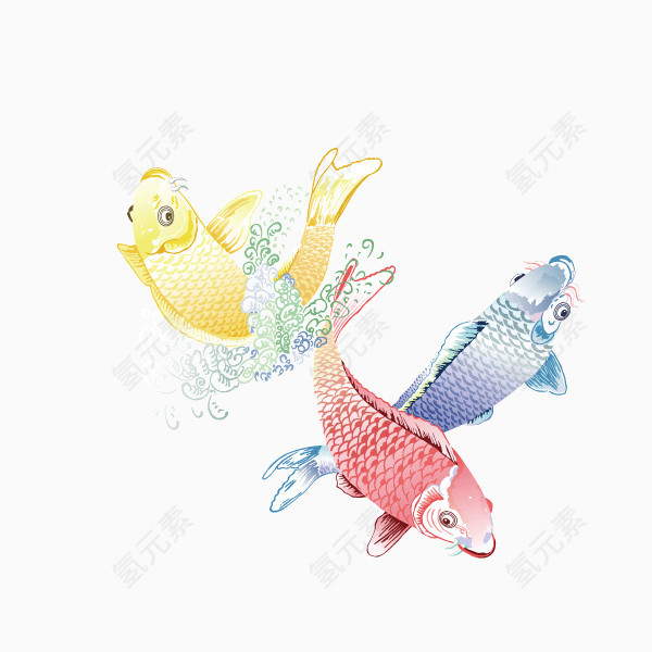 鱼鸟 彩色鱼 自由 动物