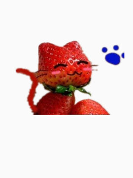 草莓猫咪