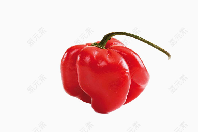 红色灯笼椒