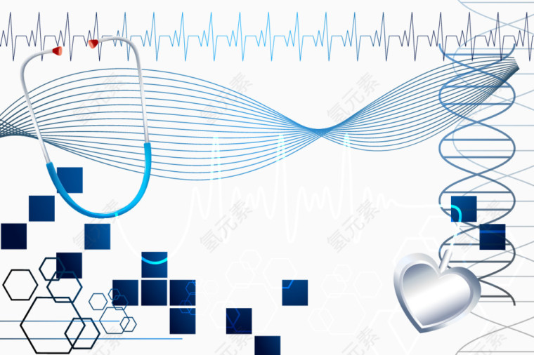 矢量DNA