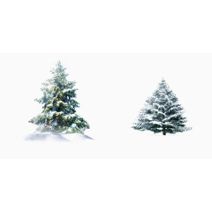 冬日故事展板圣诞树