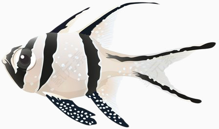 水墨黑白条纹鱼