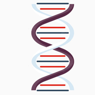 分子结构下载