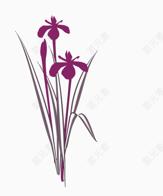 浪漫紫色兰花手绘