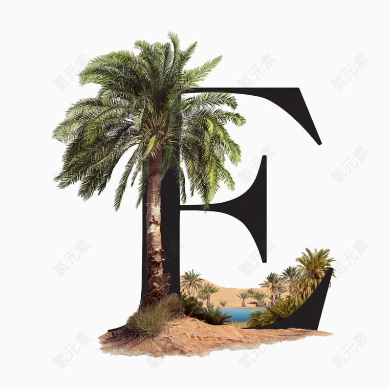 字母E与椰子树的融合