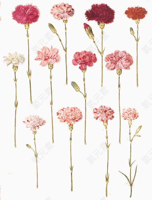粉色花朵壁纸