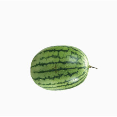 好大的一个西瓜