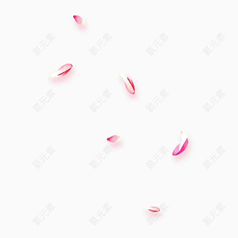 粉色花瓣免费图片