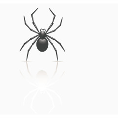 卡通黑色昆虫蜘蛛