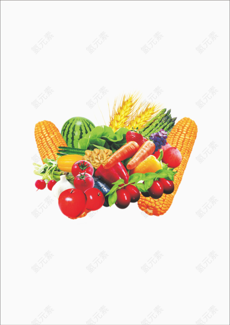 蔬菜水果插图