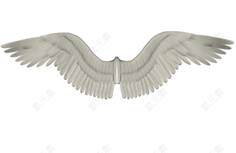 白色翅膀图案