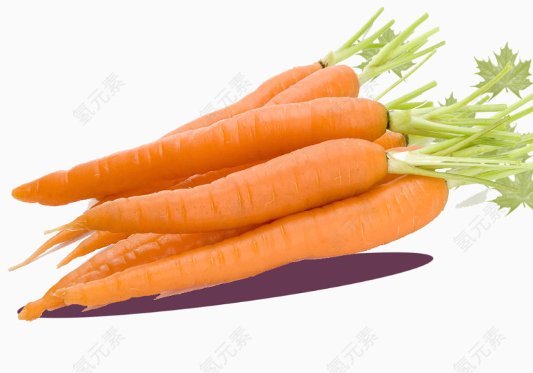 胡萝卜立体蔬菜素材