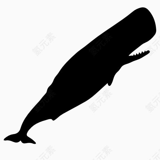 鲸鱼剪影