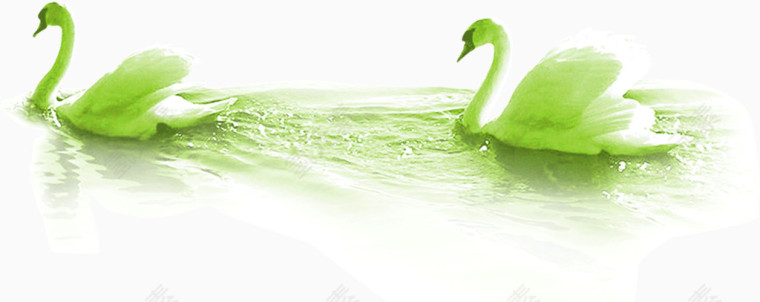 湖面绿色天鹅
