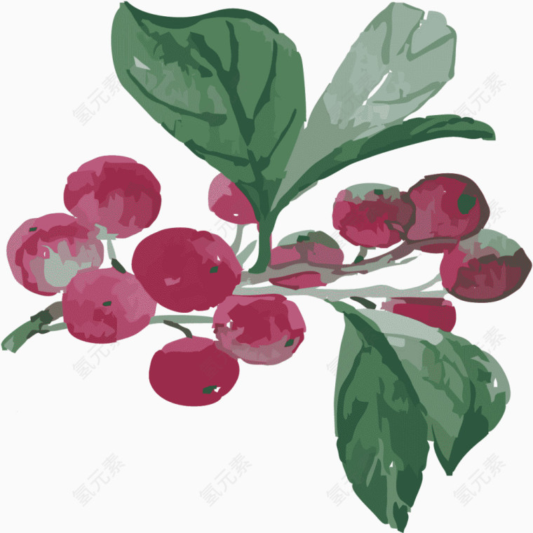 手绘红色果子与植物