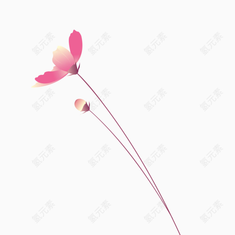 一束粉色花