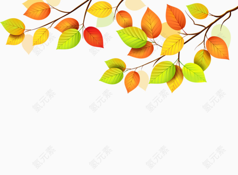 彩色叶子图案素材