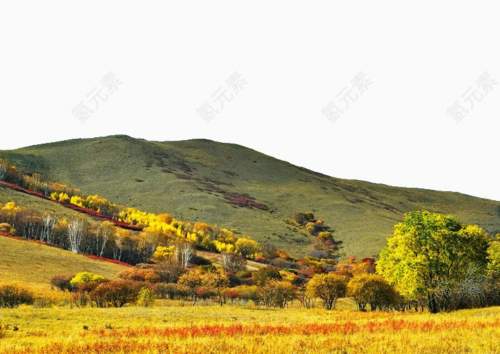 河北风景图木兰围场