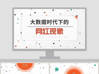 稻壳网的ppt