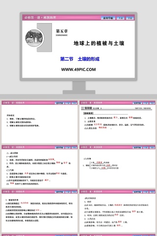 第二节土壤的形成教学ppt课件