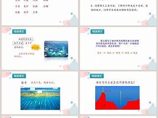 部编版小学三年级语文上册富饶的西沙群岛语文课件PPT