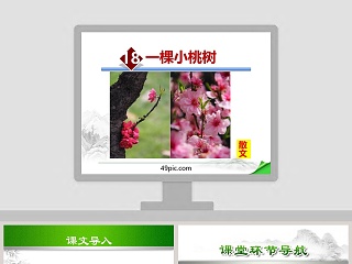 一棵小桃树 ppt