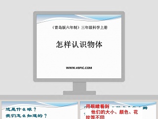 怎样认识物体-青岛版六年制三年级科学上册教学ppt课件