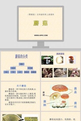 蘑菇鄂教版五年级科学上册课件PPT模板